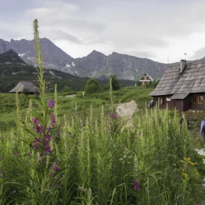 Czarny Staw Gąsienicowy