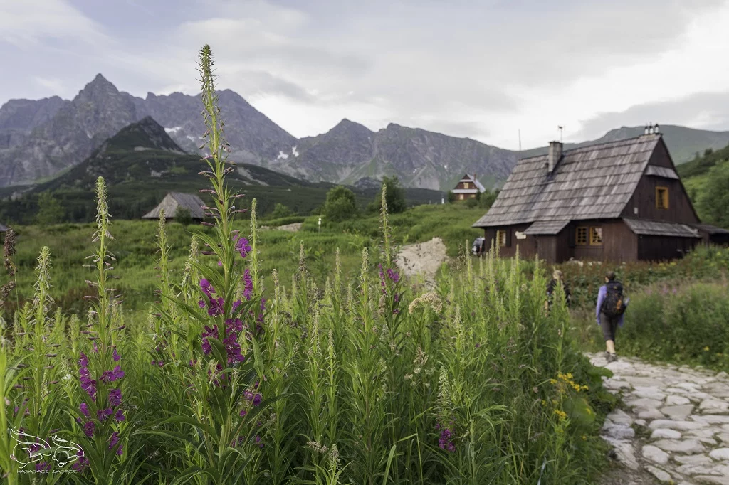 Czarny Staw Gąsienicowy