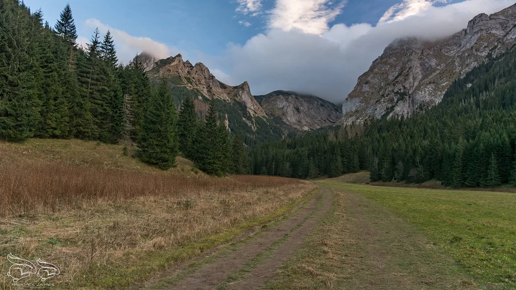 Dolina Małej Łąki