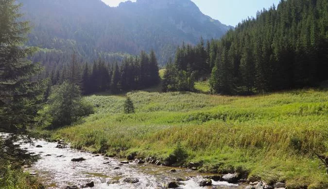 Dolina Kościeliska