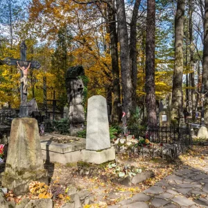 Cmentarz na Pęksowym Brzyzku