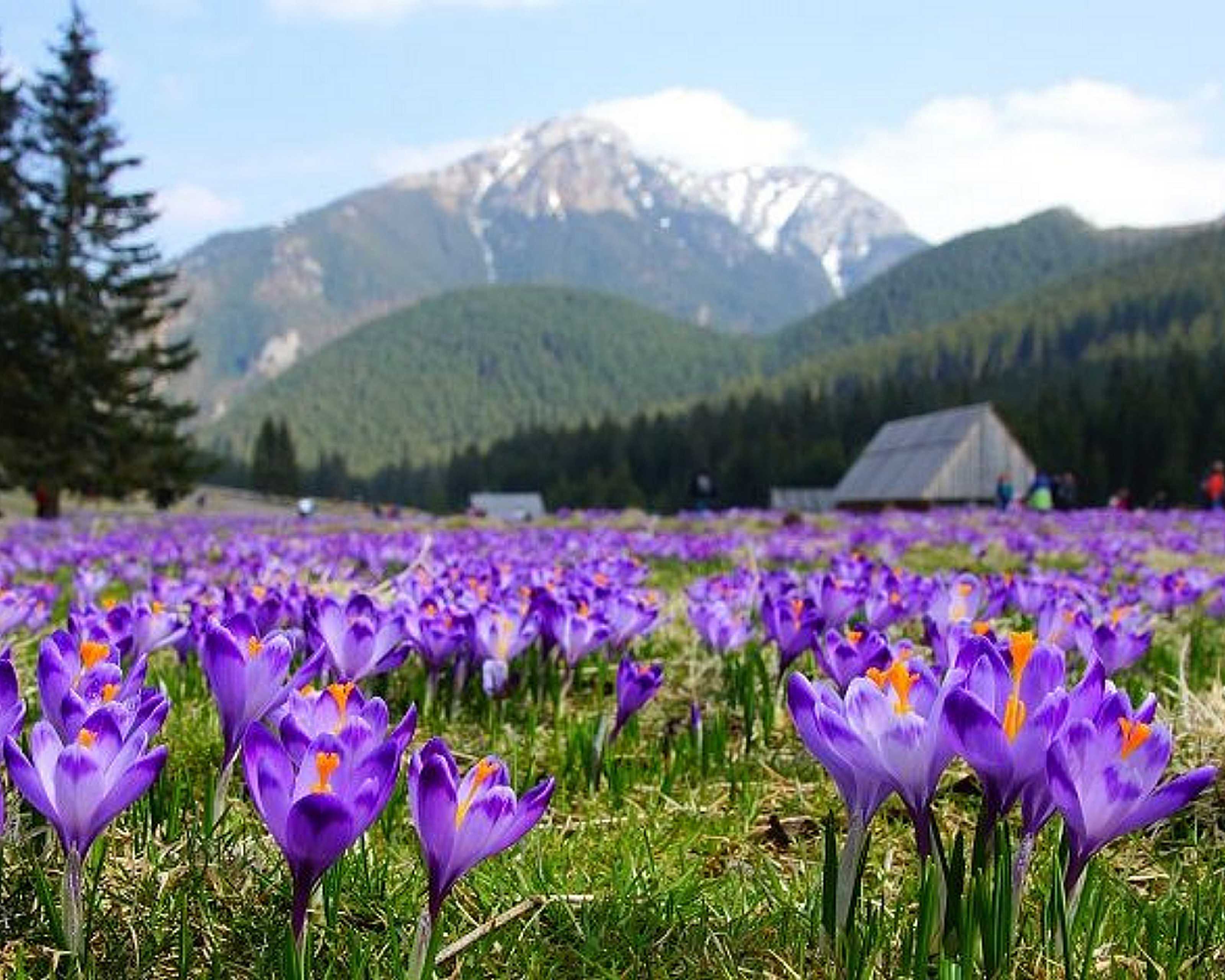 Podhale o każdej porze roku - Kiedy najlepiej przyjechać?