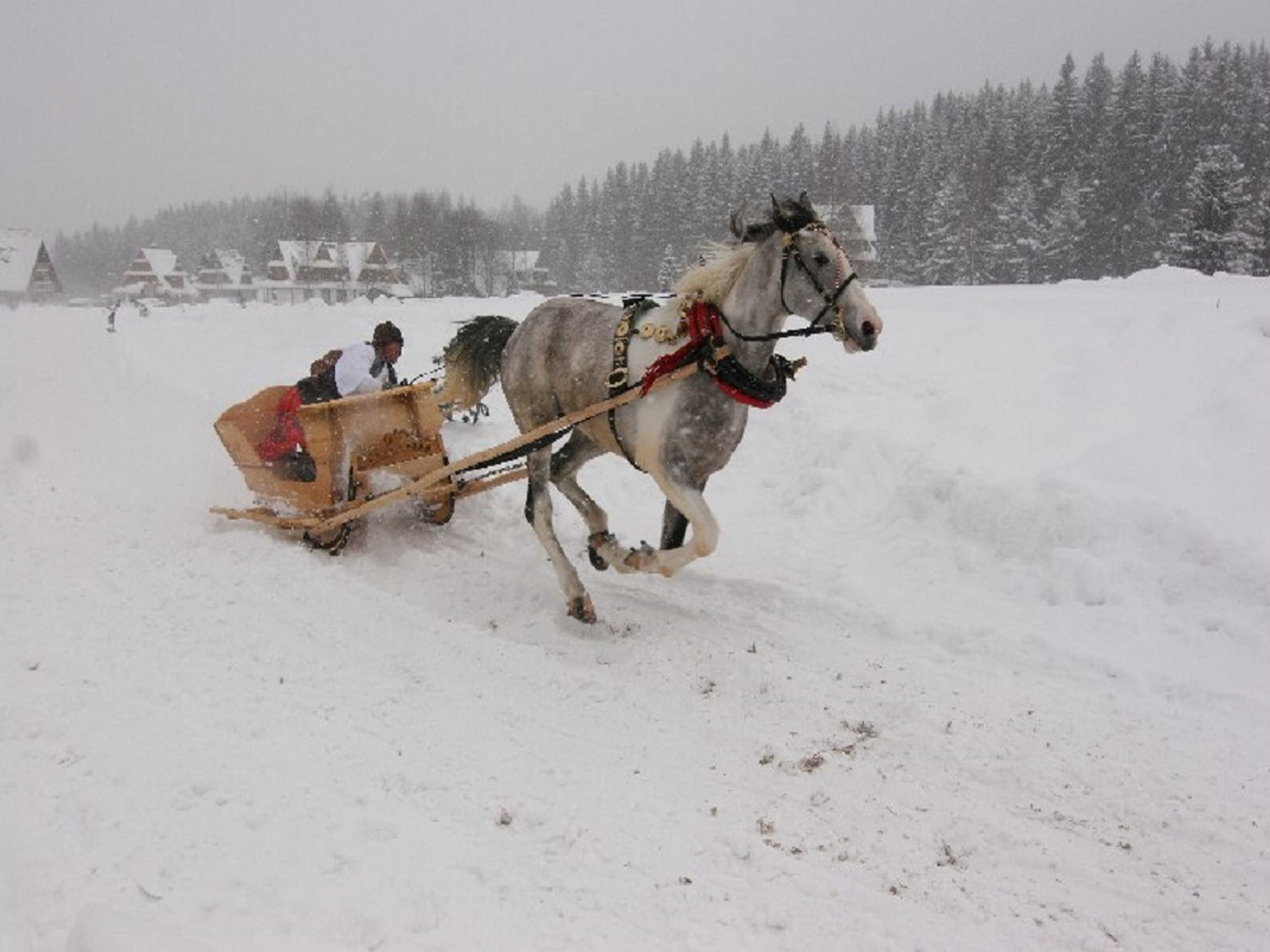 Podhale o każdej porze roku - Kiedy najlepiej przyjechać?