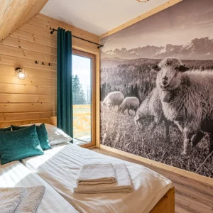 Tatrzański Przystanek 2 - Białka Tatrzańska