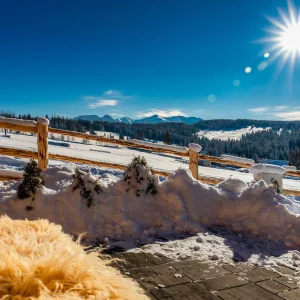 Przystanek Dzianisz - Dzianisz