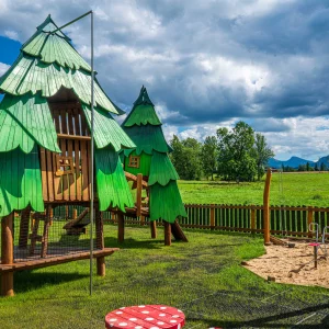 Jagodowa Osada - Dzianisz